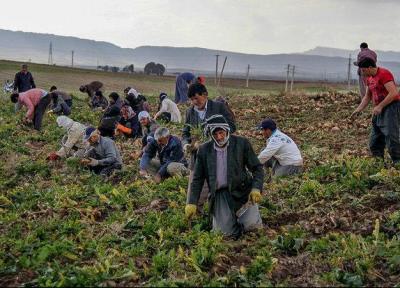 1800 خانواده روستایی و عشایری استان سمنان مستمری دریافت می نماید