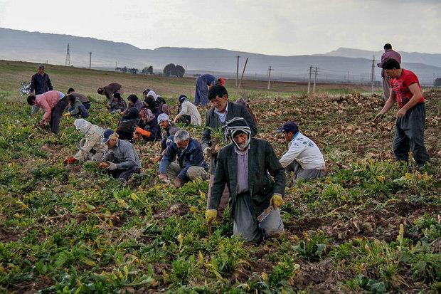 1800 خانواده روستایی و عشایری استان سمنان مستمری دریافت می کند 1800 خانواده روستایی و عشایری استان سمنان مستمری دریافت می نماید