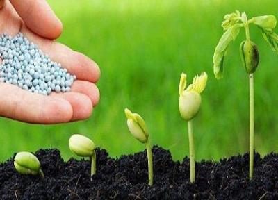 سیر صعودی تقاضای جهانی برای کودهای زیستی، ضرورت اقتصادی کردن کشاورزی زیستی در کشور