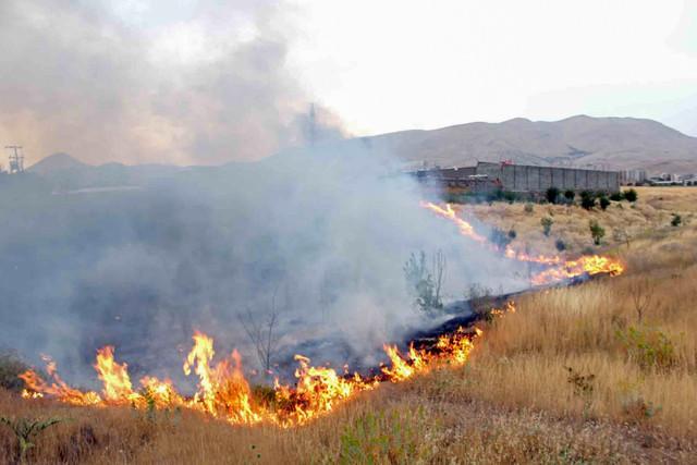 40 هکتار از مراتع همدان در آتش سوخت