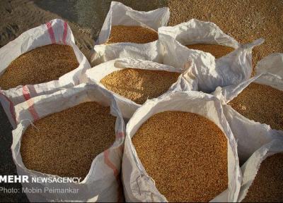 تولیدی های آرد یزد برای تامین آرد با سبوس استاندارد اقدام نمایند