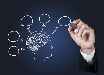 شما در کدام گروه تیپ شخصیتی قرار دارید؟