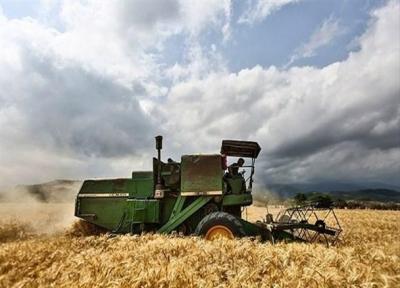 از سوی شورای اقتصاد؛ قیمت خرید تضمینی گندم1470تومان معین شد
