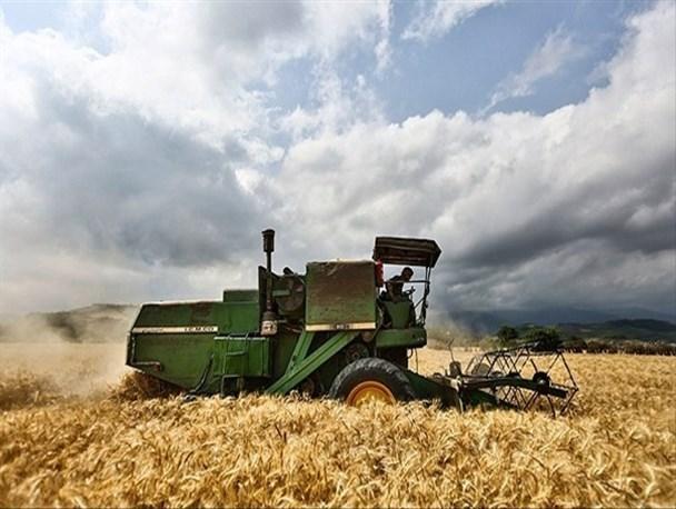 از سوی شورای اقتصاد؛ قیمت خرید تضمینی گندم1470تومان معین شد