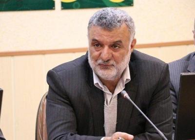 حجتی آلودگی محصولات گلخانه ای را رد کرد