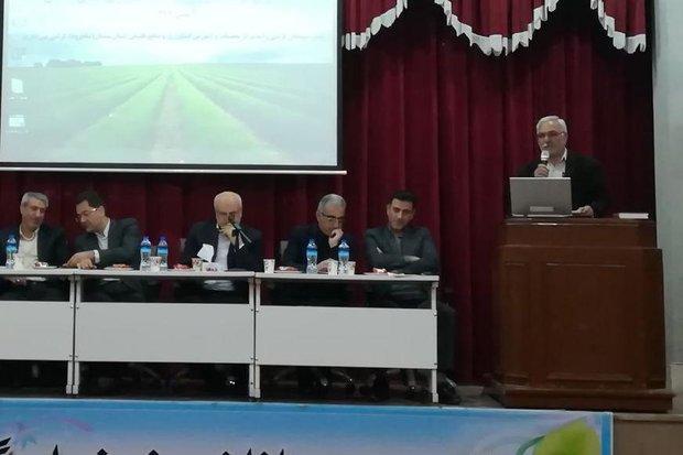 تدوین سند الگوی کشت استان سمنان نیازمند آموزش بهره برداران است تدوین سند الگوی کشت استان سمنان نیازمند آموزش بهره برداران است