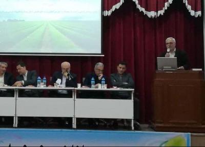 تدوین سند الگوی کشت استان سمنان نیازمند آموزش بهره برداران است