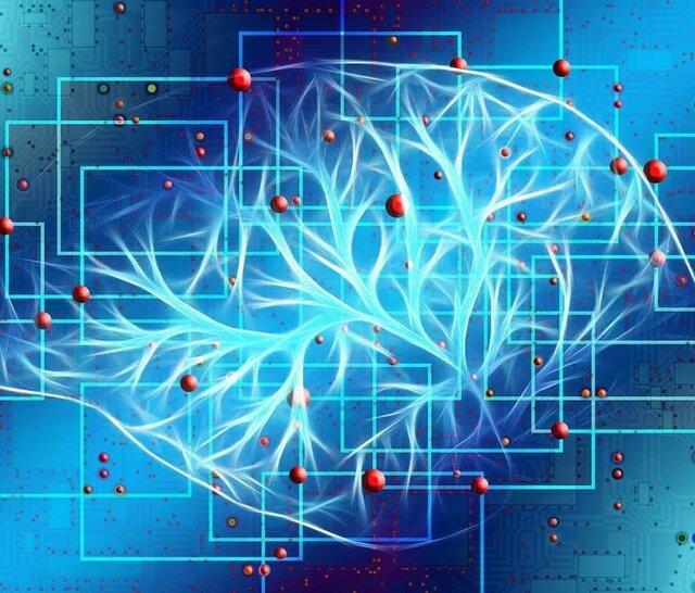 کشف شکل جدیدی از ارتباط نورون ها در مغز
