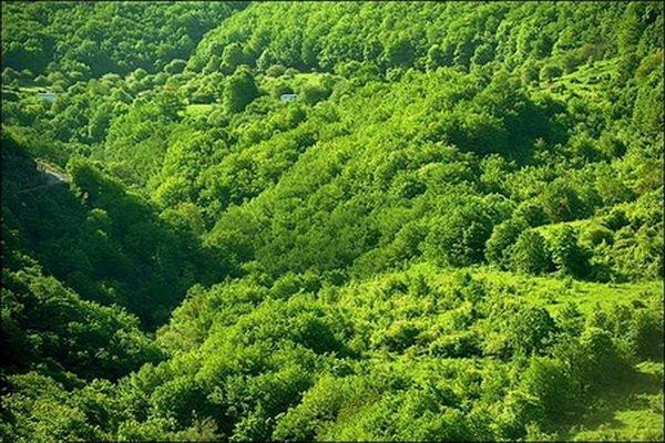 برخورد جدی با تخریب اراضی پایاب سد خداآفرین انجام می شود برخورد جدی با تخریب اراضی پایاب سد خداآفرین انجام می گردد