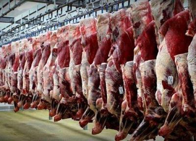 افزایش توزیع گوشت تنظیم بازار به وسیله ارز نیمایی