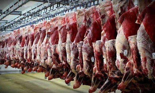 افزایش توزیع گوشت تنظیم بازار به وسیله ارز نیمایی
