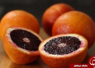 حقایقی شگفت انگیز از یک پرتقال توسرخ به نام پرتقال خونی! ، چرا پرتقال خونی، خونین است؟!
