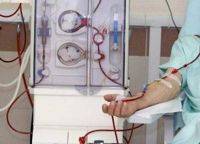 فراوری رگ های خونی در آزمایشگاه برای تسهیل دیالیز