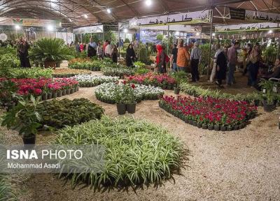 نمایشگاه بین المللی گل و گیاه از 8 اردیبهشت در تهران برگزار می گردد