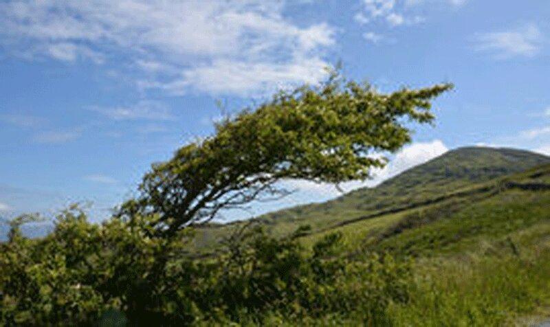 وزش تندباد لحظه ای در غرب و جنوب کشور
