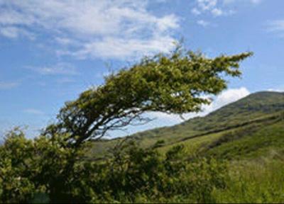 وزش تندباد لحظه ای در غرب و جنوب کشور