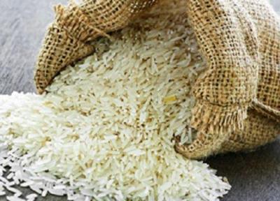 یک مقام مسئول در گفت و گو با خبرنگاران: افزایش تولید برنج در راه است، نرخ منطقی هر کیلو برنج طارم 20 هزار تومان