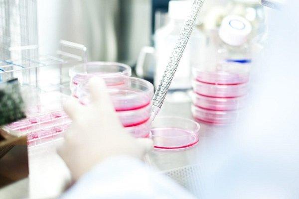 محیط بافت نقش مهمی در تشکیل تومور دارد