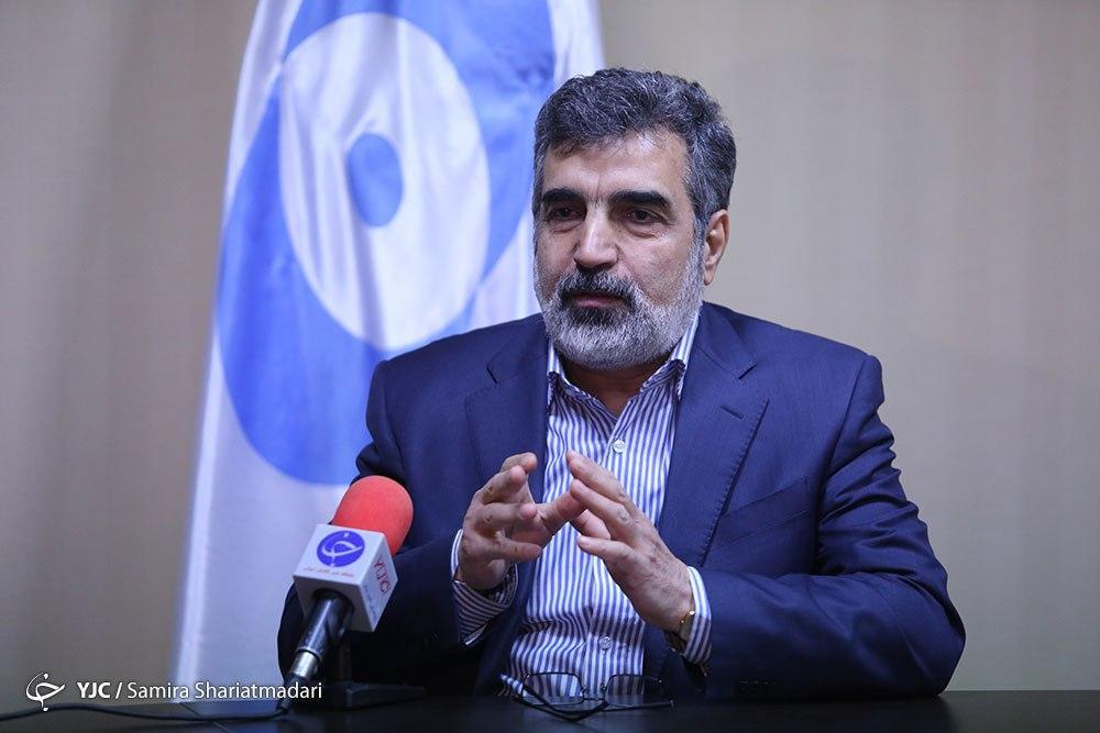 ایران فعلا از غنی سازی 4.5 درصد عبور نمی کند ایران فعلا از غنی سازی 4.5 درصد عبور نمی کند