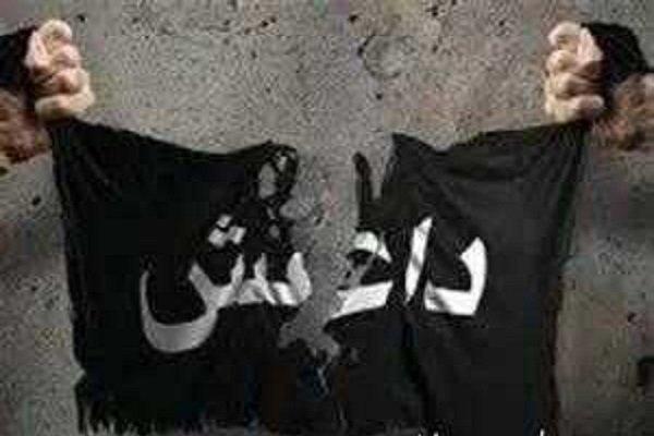 هشدار خطیب نماز عید قربان کربلا درخصوص تحرکات جدید داعش هشدار خطیب نماز عید قربان کربلا درخصوص تحرکات جدید داعش