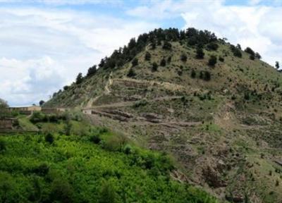 مجموعه ارس های کهنسال روستای تلاتر در فهرست میراث ملی طبیعی کشور به ثبت رسید