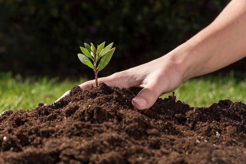 8 نکته درباره اهمیت خاک 8 نکته درباره اهمیت خاک