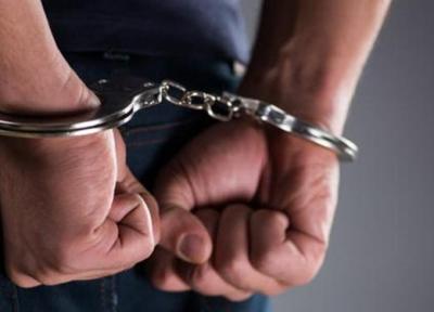 67 دزد و زورگیر پایتخت به دام افتادند