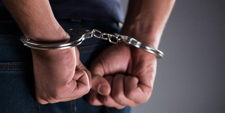 67 دزد و زورگیر پایتخت به دام افتادند