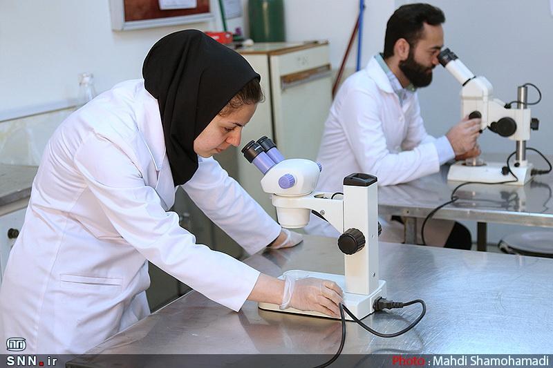مهمترین ابزار برای پیشرفت در حوزه آزمایشگاهی، تیم سازی است