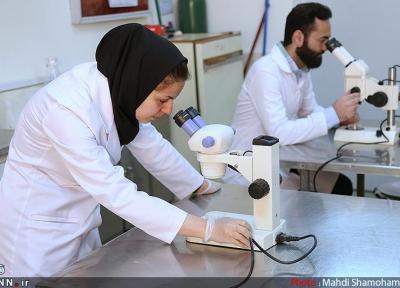 مهمترین ابزار برای پیشرفت در حوزه آزمایشگاهی، تیم سازی است