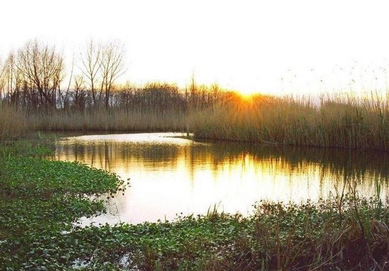 تالاب انزلی پاکسازی می گردد