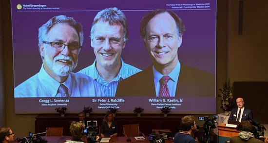 برندگان جایزه نوبل پزشکی 2019 را بشناسید