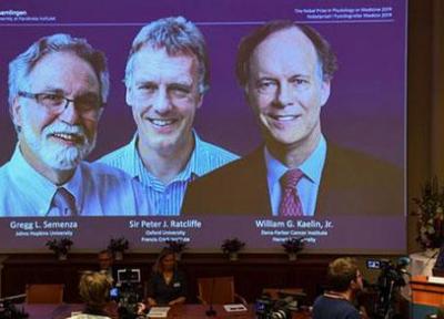 برندگان جایزه نوبل پزشکی 2019 را بشناسید
