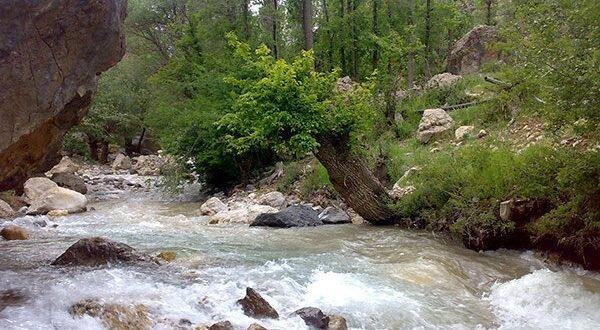 هشدار به گردشگران ، فعلا به رودخانه های البرز نزدیک نشوند هشدار به گردشگران ، فعلا به رودخانه های البرز نزدیک نشوند