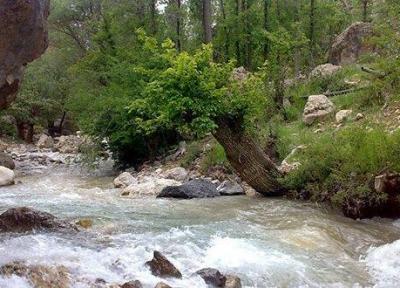 هشدار به گردشگران ، فعلا به رودخانه های البرز نزدیک نشوند
