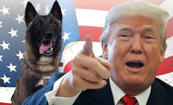 ترامپ خودش را با سگِ کونان مقایسه کرد!
