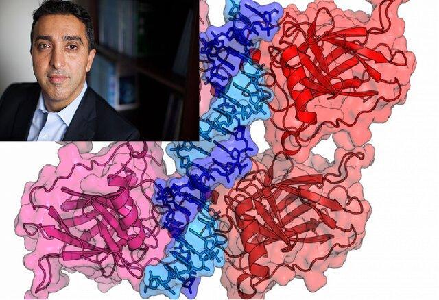 تلاش دانشمند ایرانی برای درمان سرطان با کمک نانوذرات