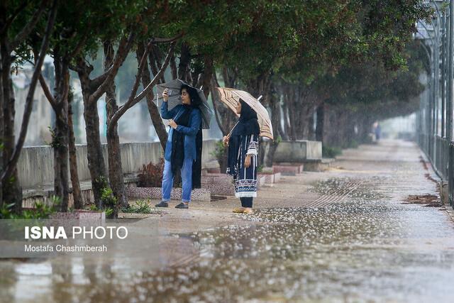 بارش تجمعی تا 100 میلی متر در برخی مناطق جنوبی استان کرمان بارش تجمعی تا 100 میلی متر در بعضی مناطق جنوبی استان کرمان دور از انتظار نیست