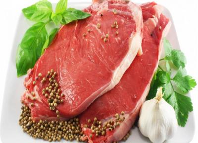 قوای جسمی خود را با مصرف گوشت شتر بالا ببرید
