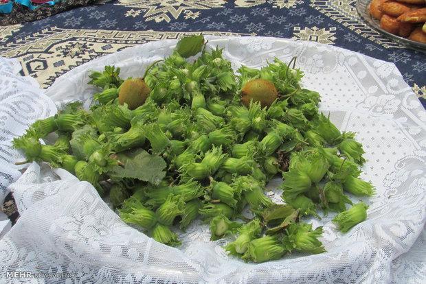 فروش فندق مغان در جنگل فندقلو متوقف گردد