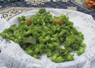 فروش فندق مغان در جنگل فندقلو متوقف گردد
