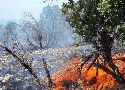 مخالفت با انتقال آب زاب به دریاچه ارومیه، آتش سوزی در جنگل گلستان