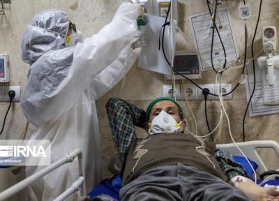 خبرنگاران 66 درصد از مبتلایان به ویروس کرونا در شاهرود بهبود یافتند