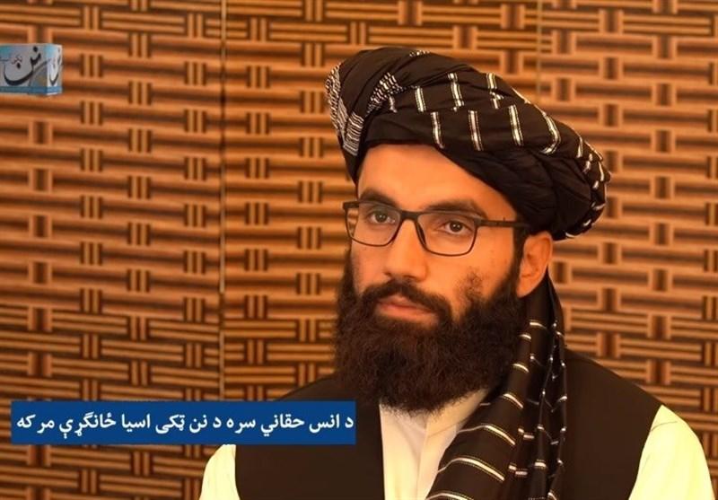 عضو کمیسیون سیاسی طالبان: جنگ بر ما تحمیل شده است