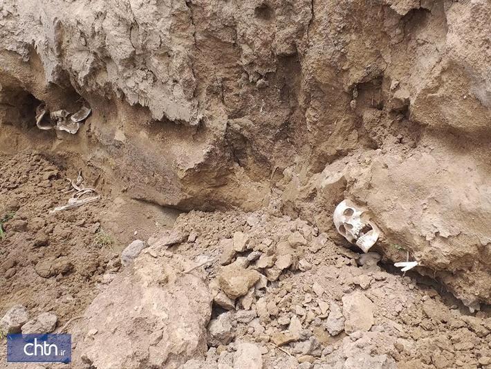 اسکلت های انسانی کشف شده در قره تپه بندرترکمن مربوط به قرون متأخر اسلامی است
