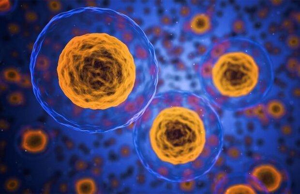 تعیین میزان اسیدیته سلول با نانوذرات برای کمک به بیماران تعیین میزان اسیدیته سلول با نانوذرات برای کمک به بیماران سرطانی