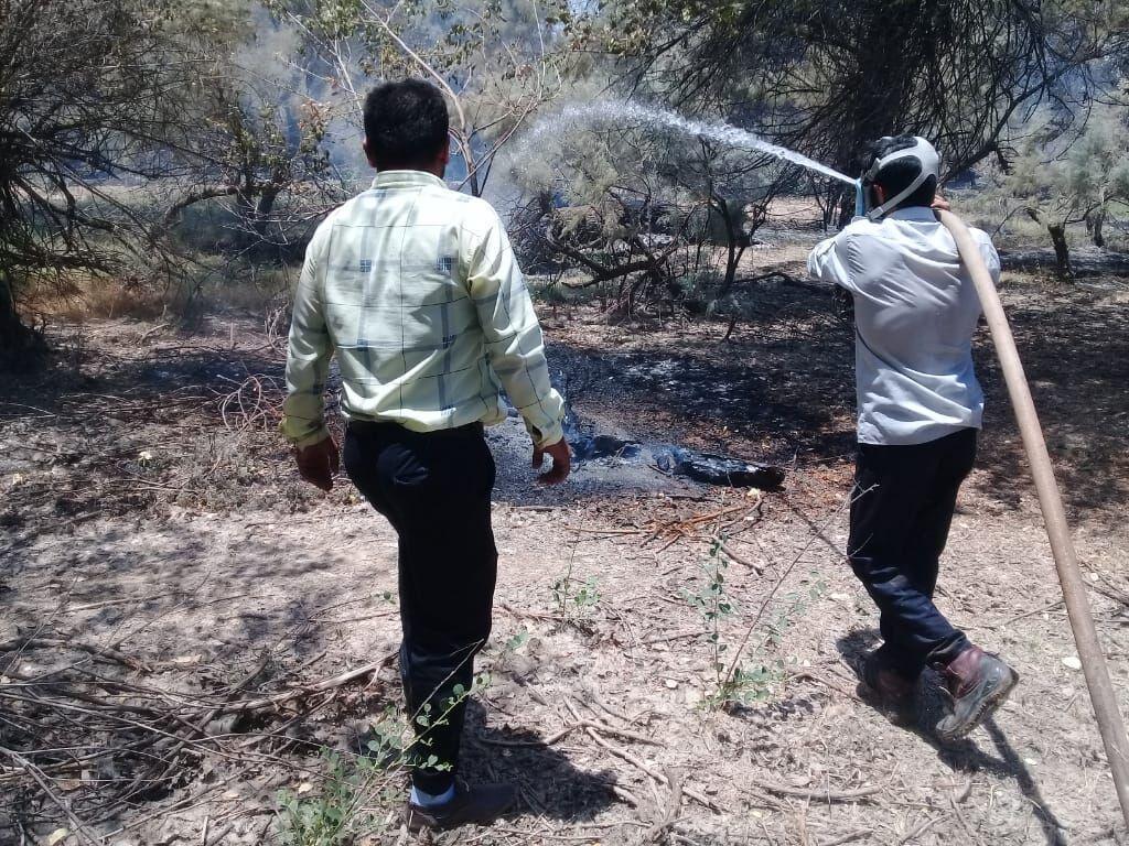 خبرنگاران ممنوعیت آتش زدن بقایای گیاهی پس از برداشت محصول در مانه وسملقان