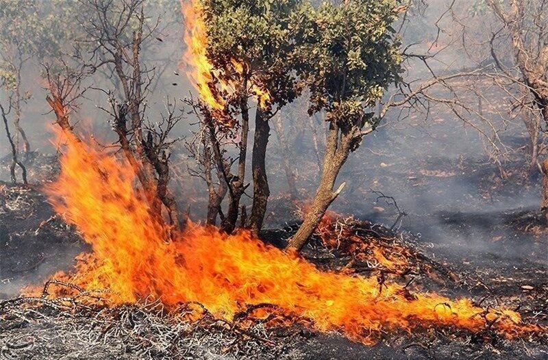 خبرنگاران 29 درصد عرصه های طبیعی خراسان شمالی در محدوده پرخطر آتش سوزی