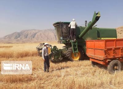 خبرنگاران شروع برداشت گندم در دورود
