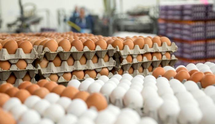 ستاد تنظیم بازار قیمت جدید تخم مرغ را بیان نمود